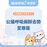 【北京转诊】公猫麻醉去势至尊